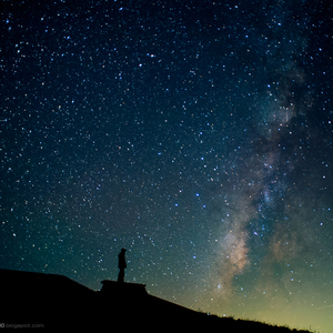 女生裸体视频软件网站入口
